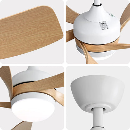 Ceiling fan with integrated light, white motor housing and natural wood blades on Tampa Home & Garden Store