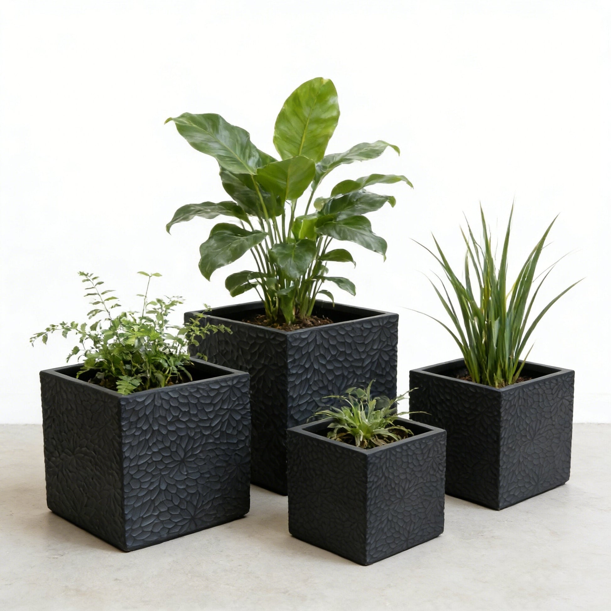 Magnesium oxide planter set of 4 black square planters for indoor outdoor use HouseOfZazla on Tampa Home & Garden Store
