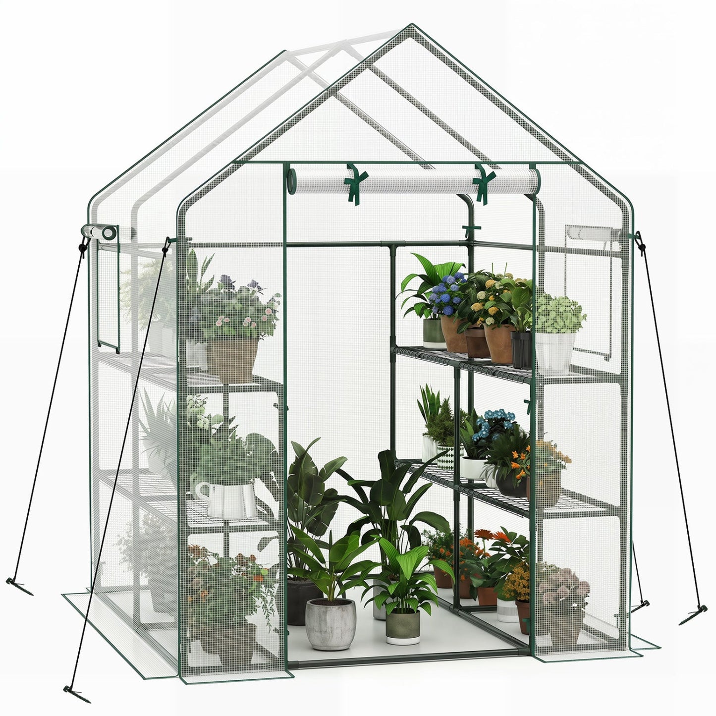Walk-In Greenhouse with Observation Windows