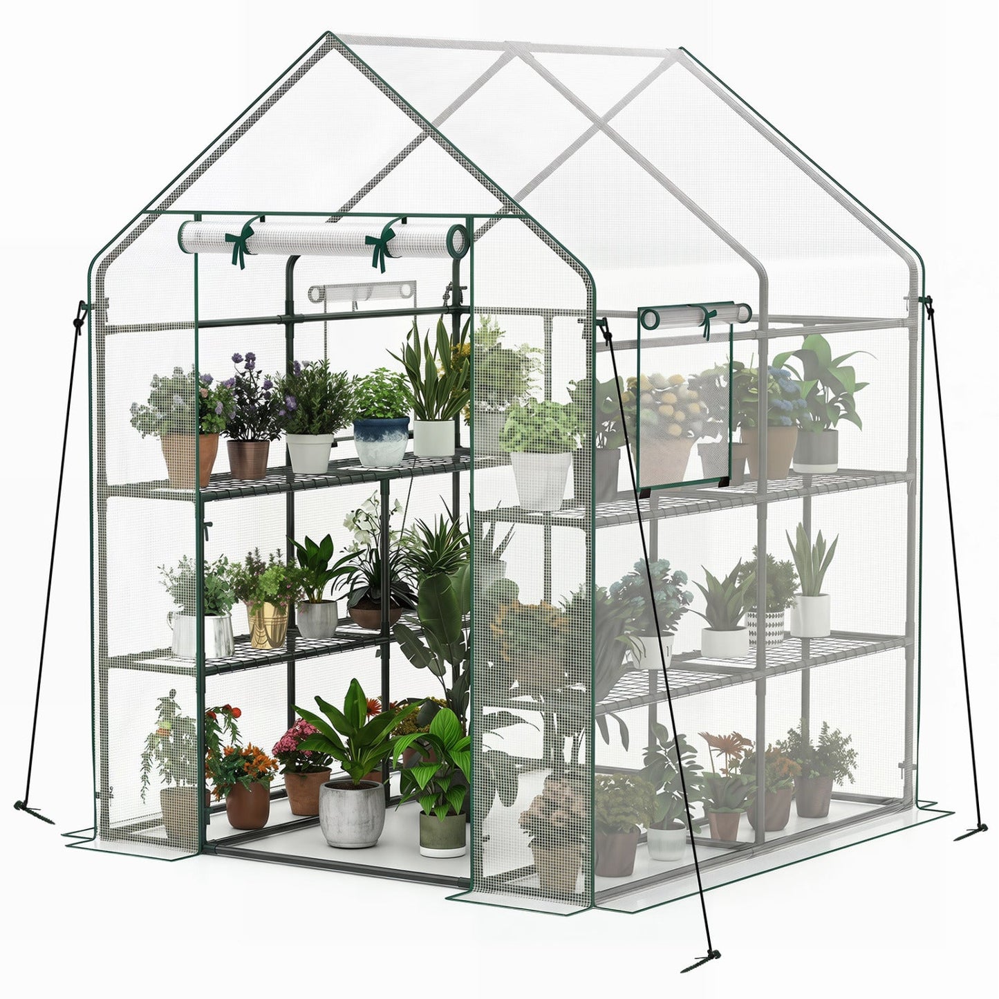 Walk-In Greenhouse with Observation Windows