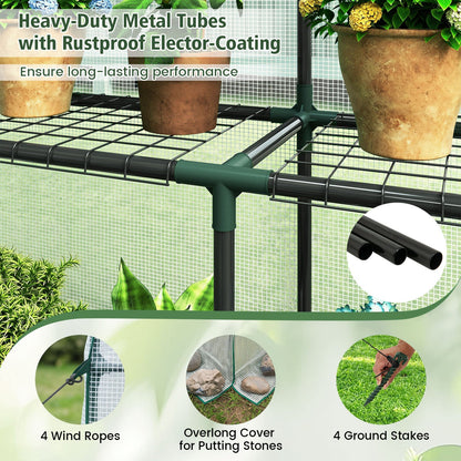 Walk-In Greenhouse with Observation Windows