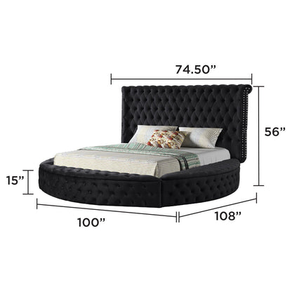 Hazel storage bed by HouseOfZazla in black tufted velvet with studded trim on Tampa Home & Garden Store