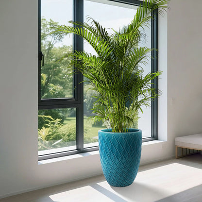 Blue ceramic planter with a textured diamond pattern housing a tall green palm by a window on Tampa Home & Garden Store