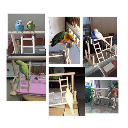 Wooden cockatiel floor stand with ladders, perches and feeding cups by Sell My Stuff on Tampa Home & Garden Store
