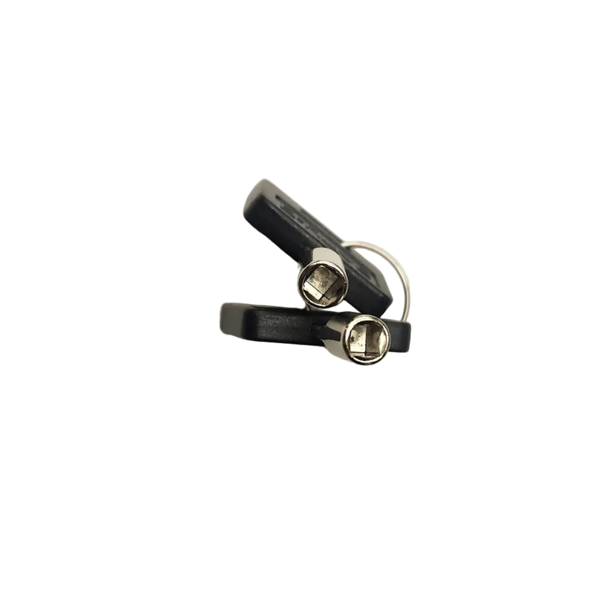 B-hyve Controller Keys 2 Pack and Key Ring Set
