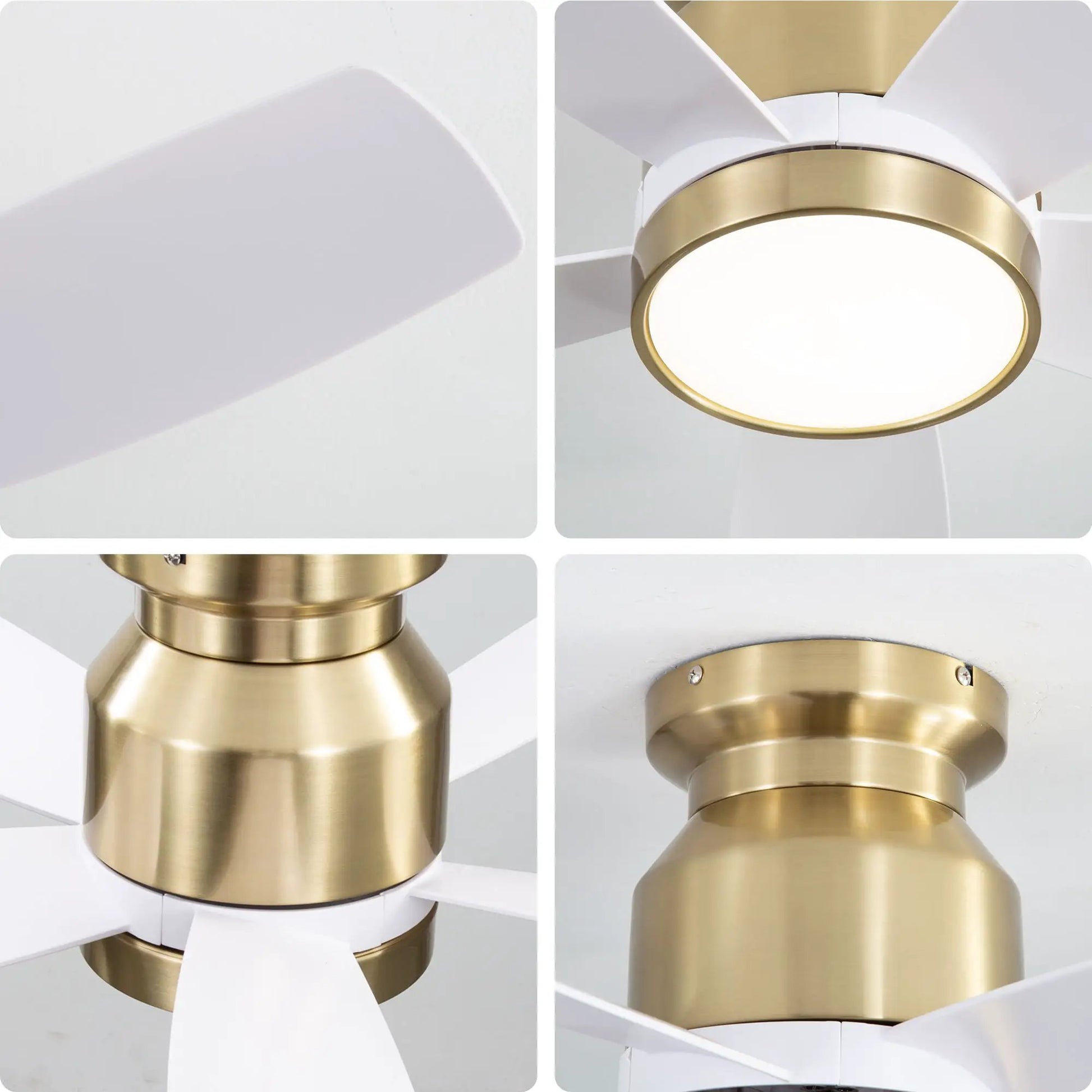 Flush mount ceiling fan with LED light, white blades and brass ring, DC motor on Tampa Home & Garden Store