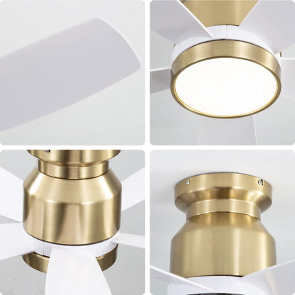 Flush mount ceiling fan with LED light, white blades and brass ring, DC motor on Tampa Home & Garden Store