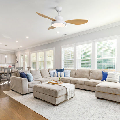Ceiling fan by HouseOfZazla with 22W LED light, white housing and natural wood blades, remote on Tampa Home & Garden Store