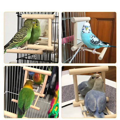 Bird stand with mirror natural wood perches for birds, four colorful budgies on Tampa Home & Garden Store