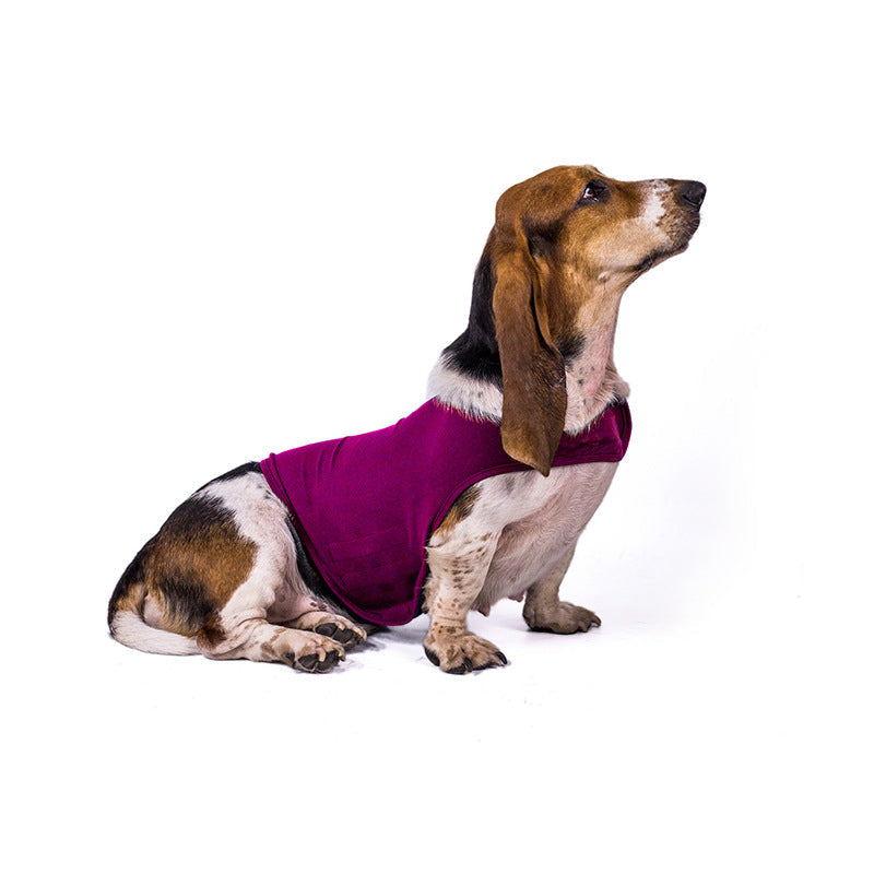 Pet Zen Anxiety Jacket Vest for dogs in purple, lightweight summer calming clothing on Tampa Home & Garden Store