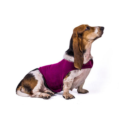 Pet Zen Anxiety Jacket Vest for dogs in purple, lightweight summer calming clothing on Tampa Home & Garden Store