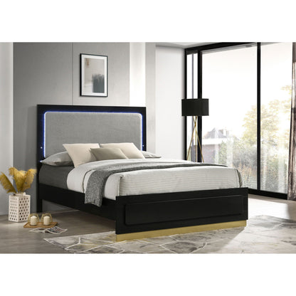 Sophia panel bed with LED headboard in black finish by HouseOfZazla for a modern bedroom on Tampa Home & Garden Store