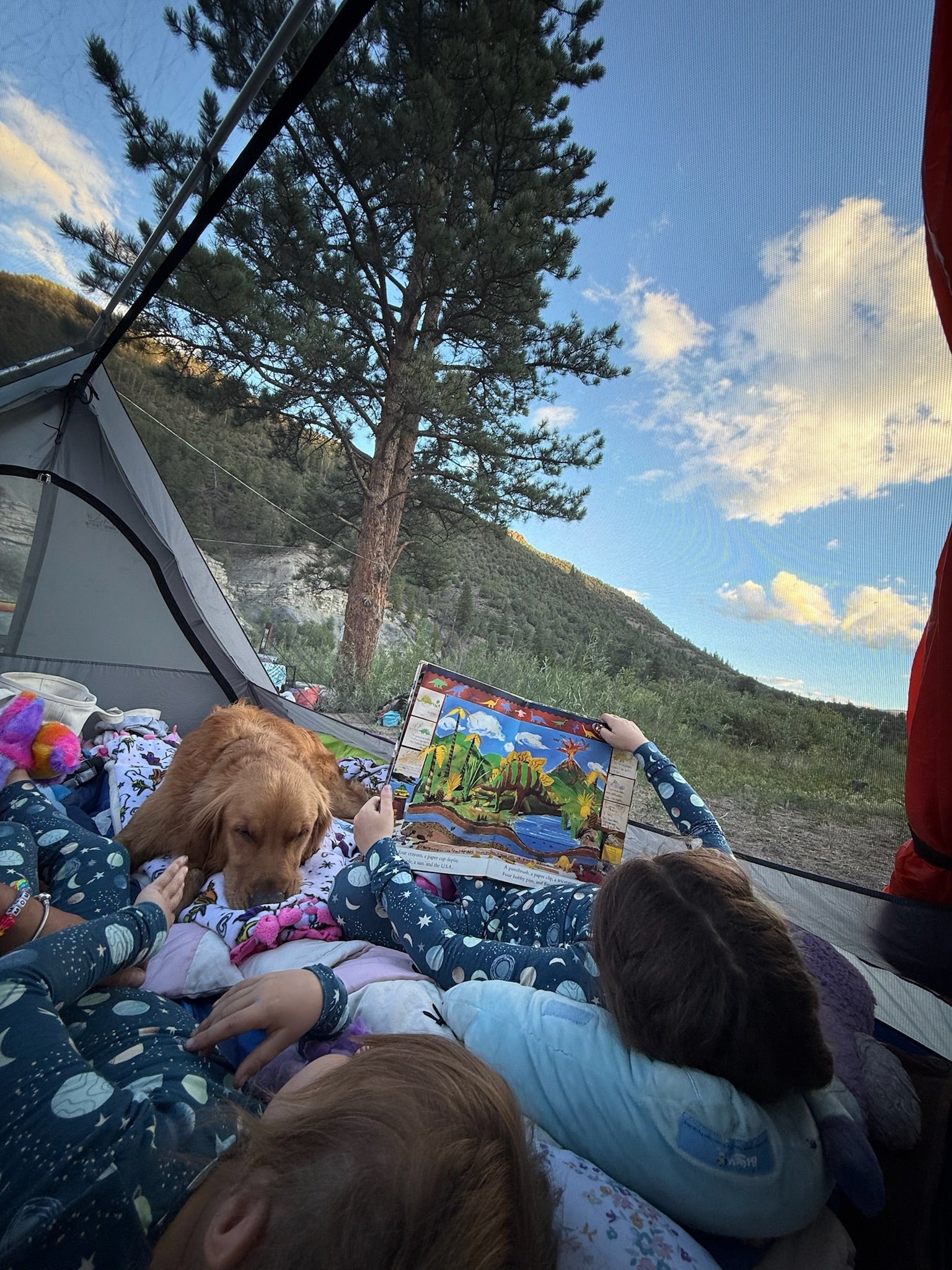 Sky View XL Tent interior with kids and a sleeping dog, reading a book, large window view on Tampa Home & Garden Store