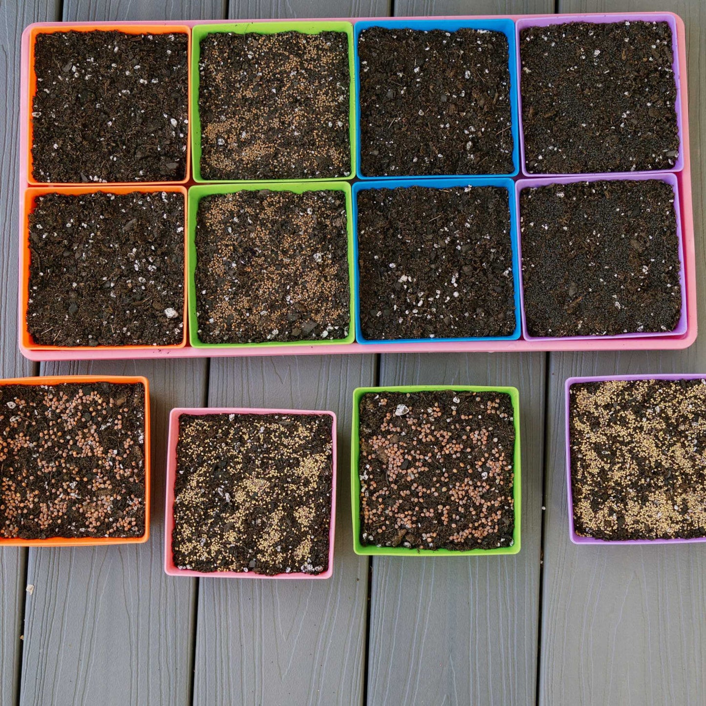 5X5 Shallow Microgreen Trays - Tampa Home & Garden Store