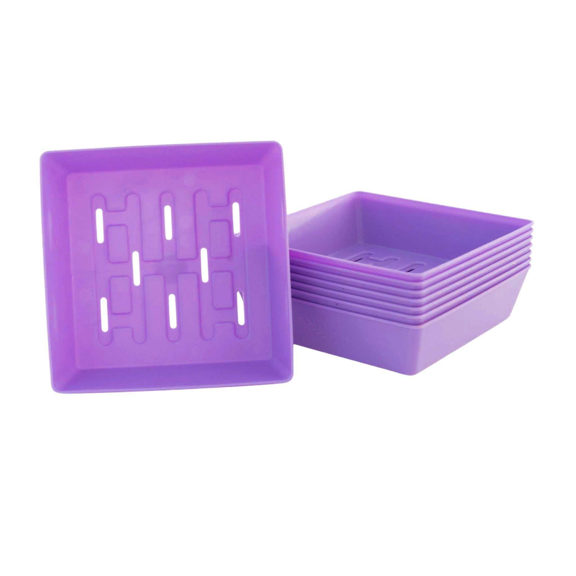 5X5 Shallow Microgreen Trays - Tampa Home & Garden Store