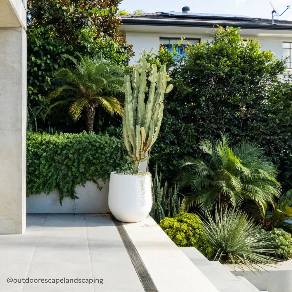 The Jitt Flared Planter | Unique Modern Statement Pot