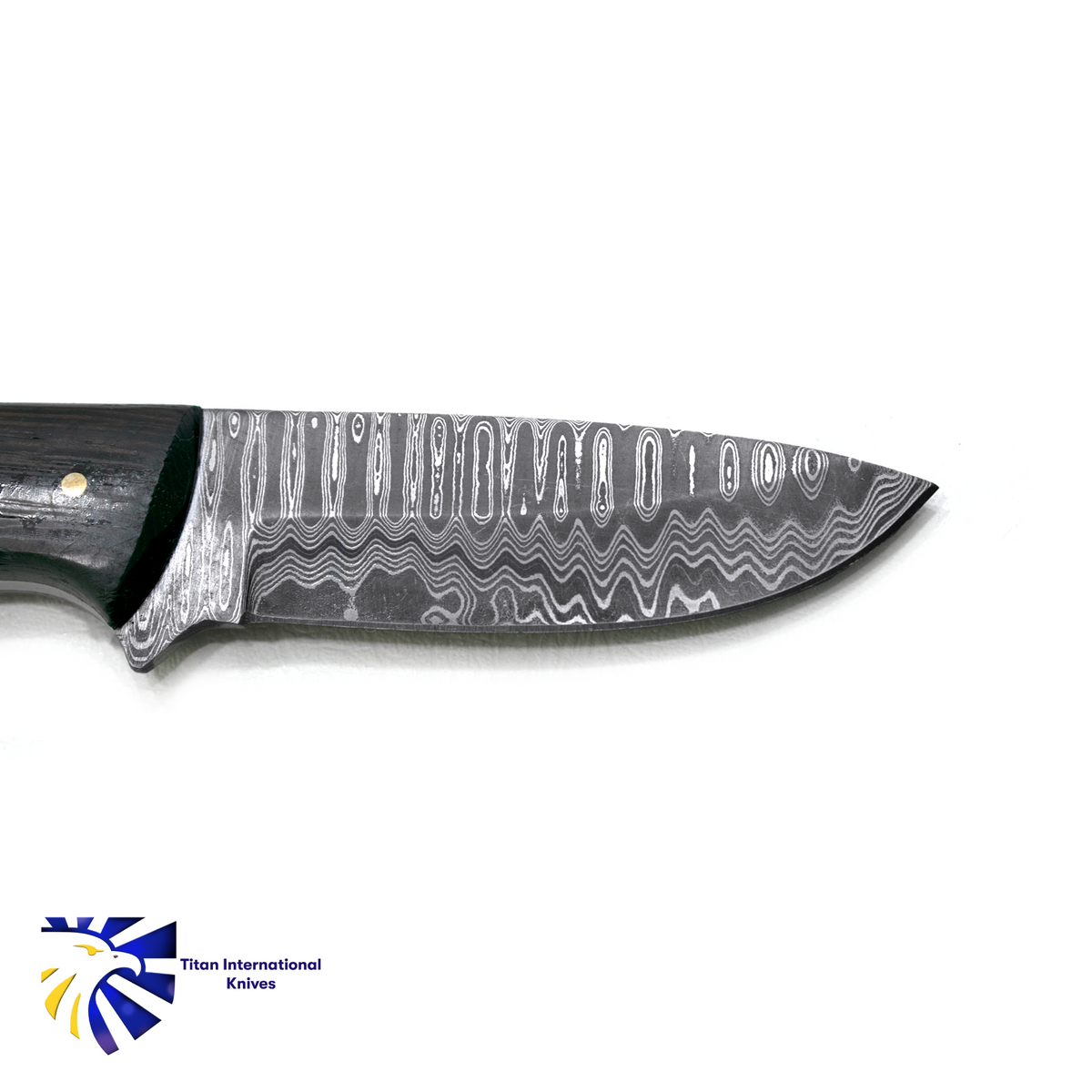 Damascus steel TK-019 EDC hunting knife with patterned blade Titan International Knives on Tampa Home & Garden Store