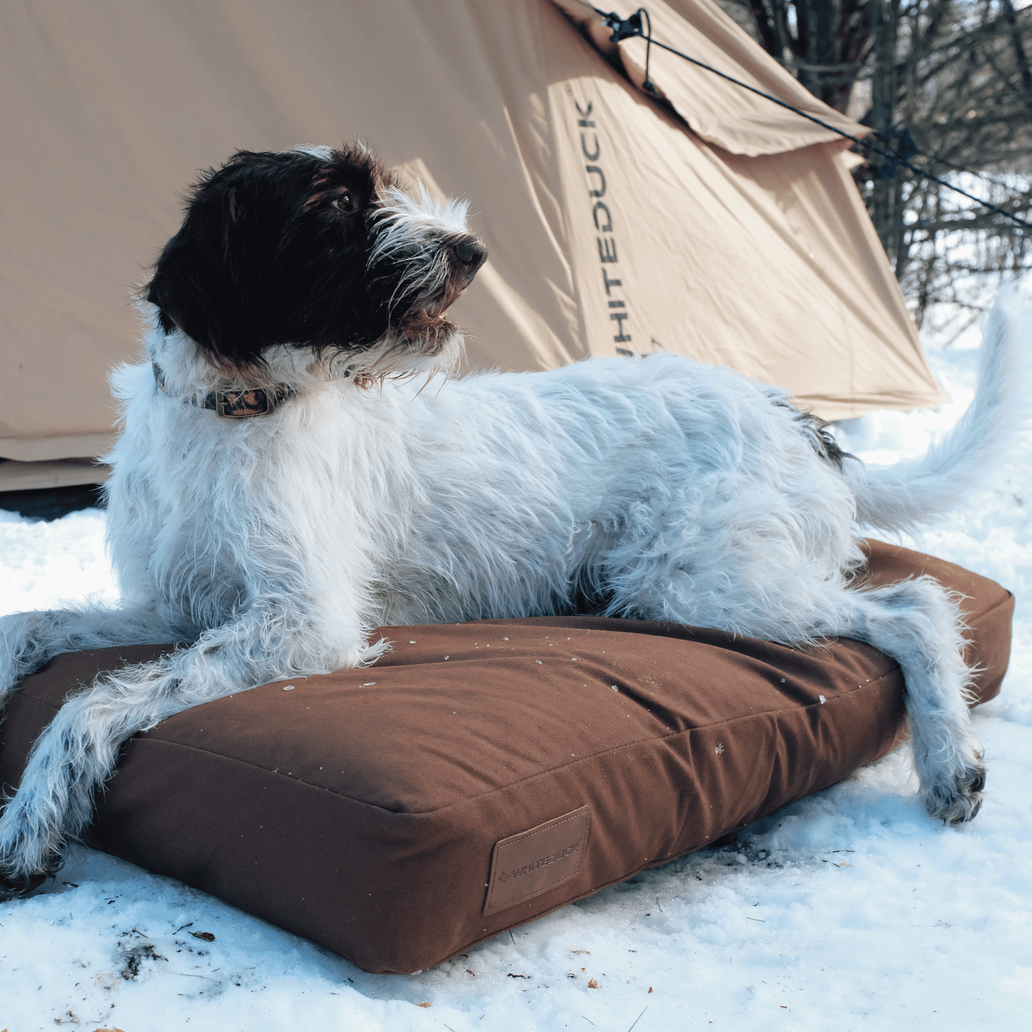 Dog Beds & Dog Bed Covers
