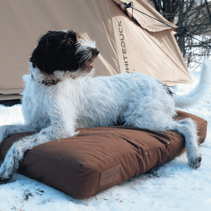Dog Beds & Dog Bed Covers