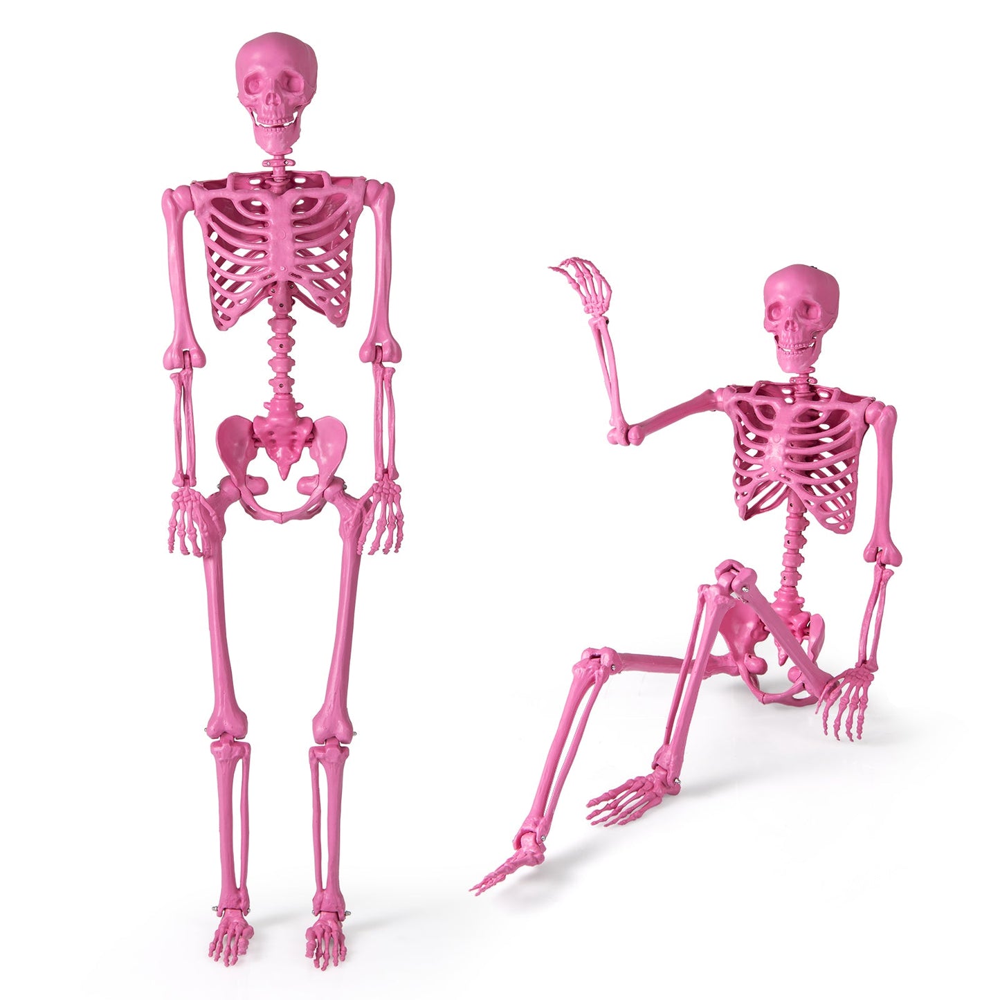 5.5 ft life-size poseable skeleton DirectDeals pink movable joints set of 2 on Tampa Home & Garden Store