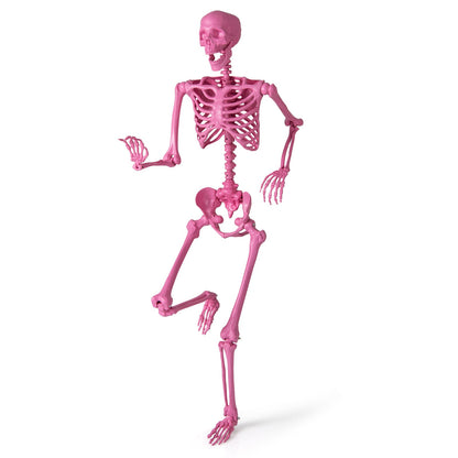 5.5 ft life-size poseable skeleton pink with movable joints DirectDeals Halloween display on Tampa Home & Garden Store