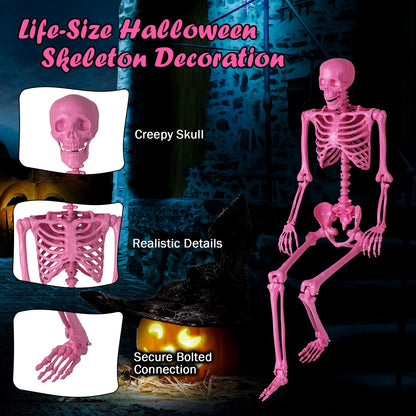 5.5 ft pink life-size poseable skeleton with movable joints DirectDeals on Tampa Home & Garden Store