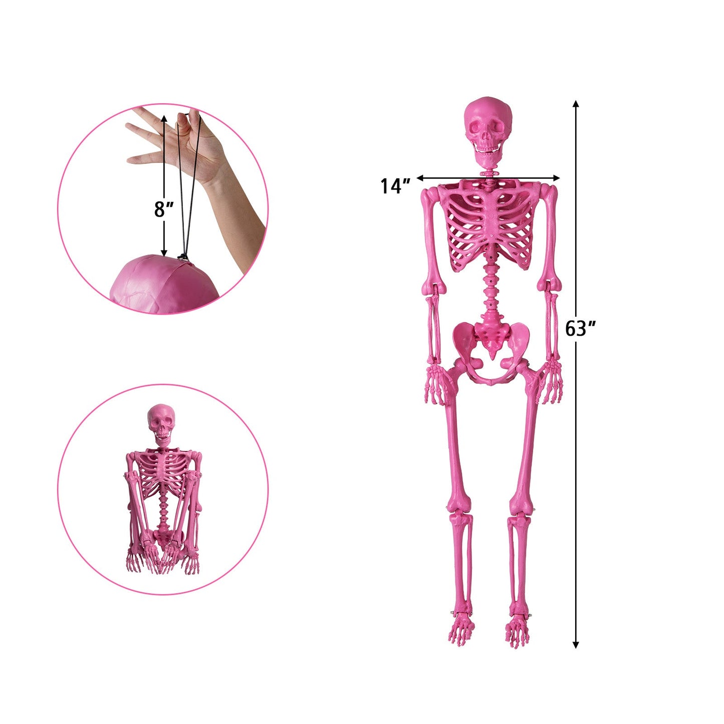 5.5 ft pink life-size poseable skeleton with movable joints DirectDeals Halloween prop on Tampa Home & Garden Store