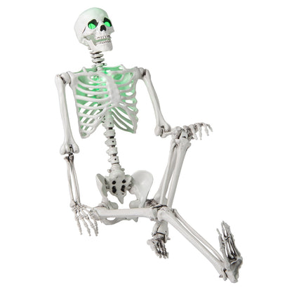 5.5 ft Halloween Skeleton life-size posable decor with green glowing eyes DirectDeals cardboard on Tampa Home & Garden Store