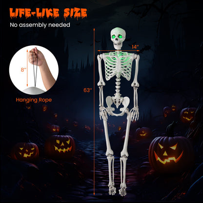 Skeleton cardboard cutout, 5.5 ft life-size, DirectDeals, posable with hanging rope, green eyes on Tampa Home & Garden Store