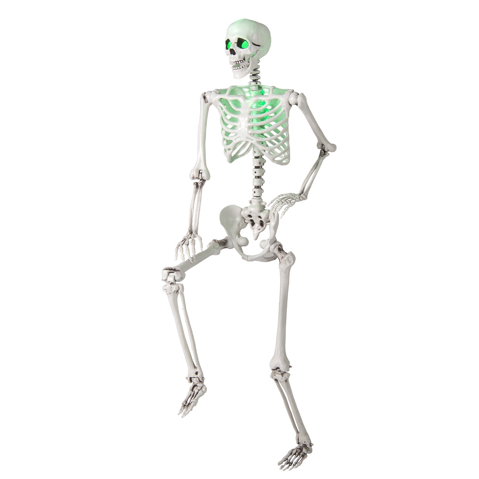 5.5 ft Halloween skeleton life-size posable figure with glowing green eyes DirectDeals on Tampa Home & Garden Store
