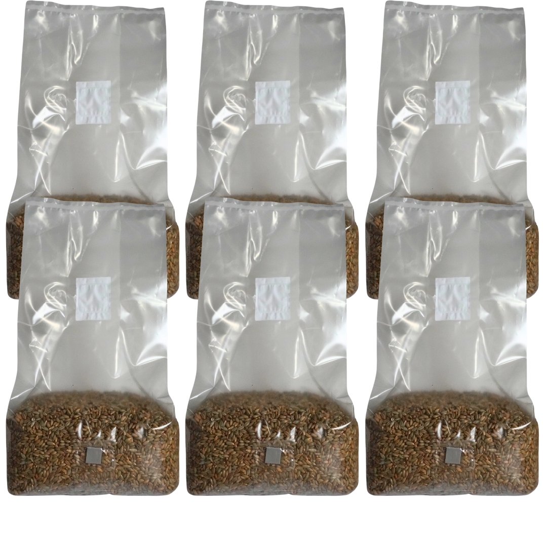 Sterile Mushroom Grain Spawn Bag (5 Pound)