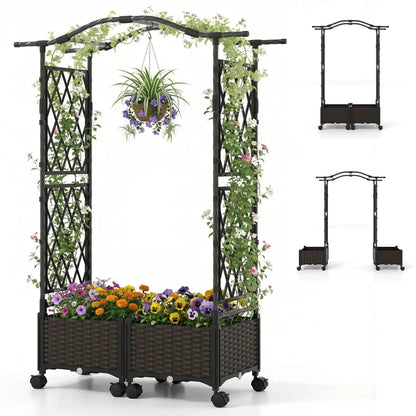 5 Ft Self-Watering Planter Boxes with Lattice