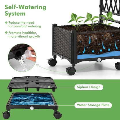 5 Ft Self-Watering Planter Boxes with Lattice