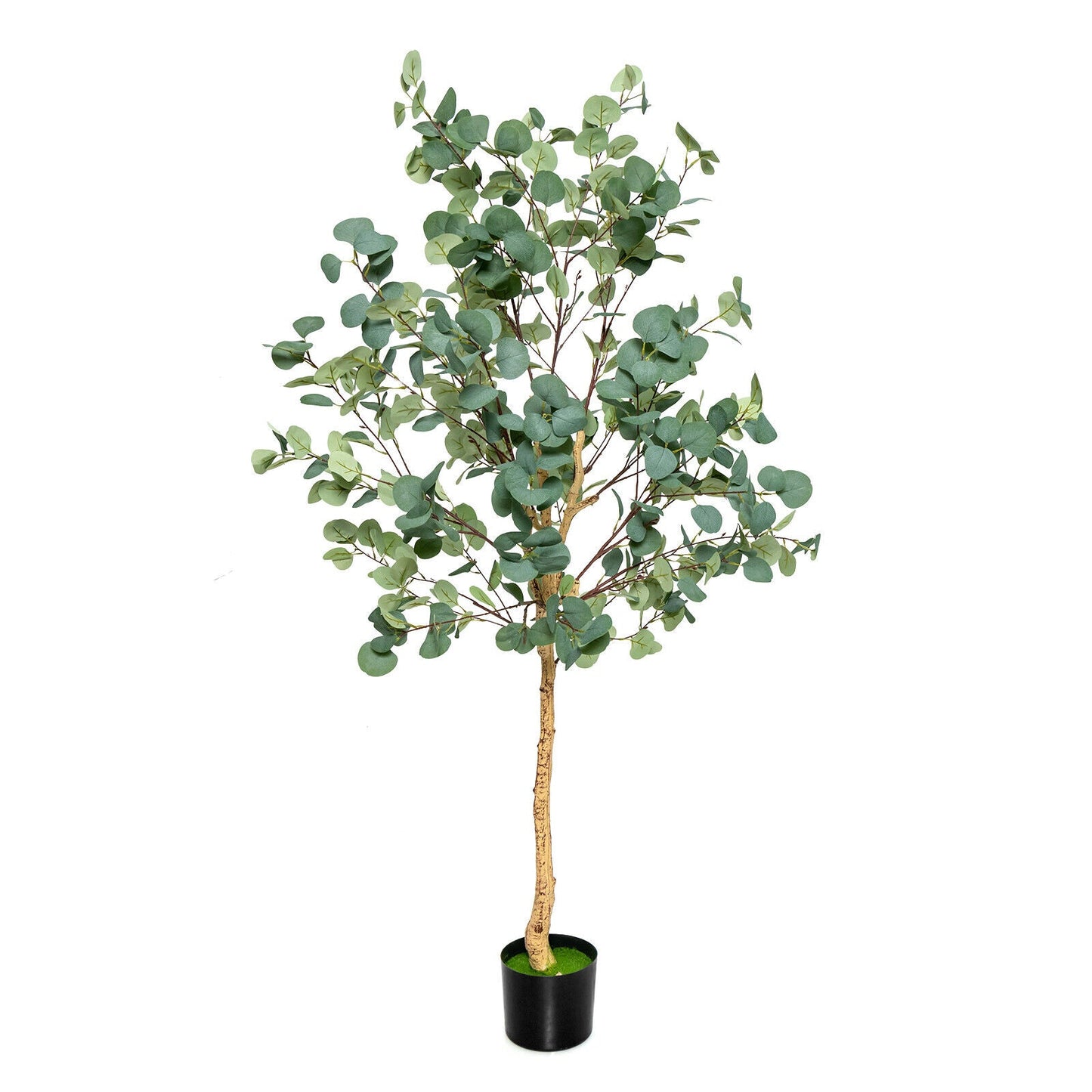 Árbol de eucalipto artificial de 5.5 pies con 517 hojas de dólar de plata - 1 paquete