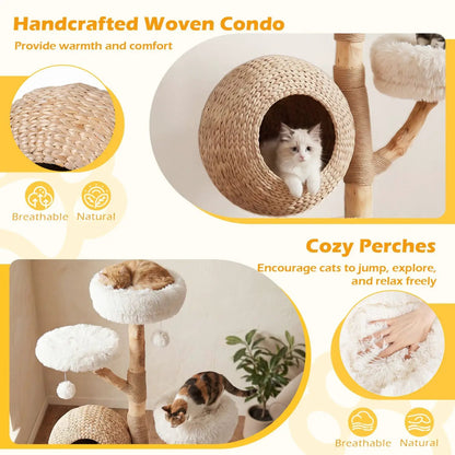 5-Tier Wooden Cat Tree With Woven Condo Perches
