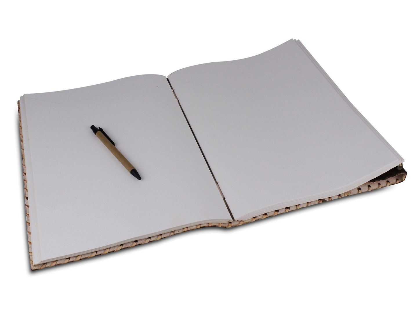 The Colosseum Journal - Tampa Home & Garden Store