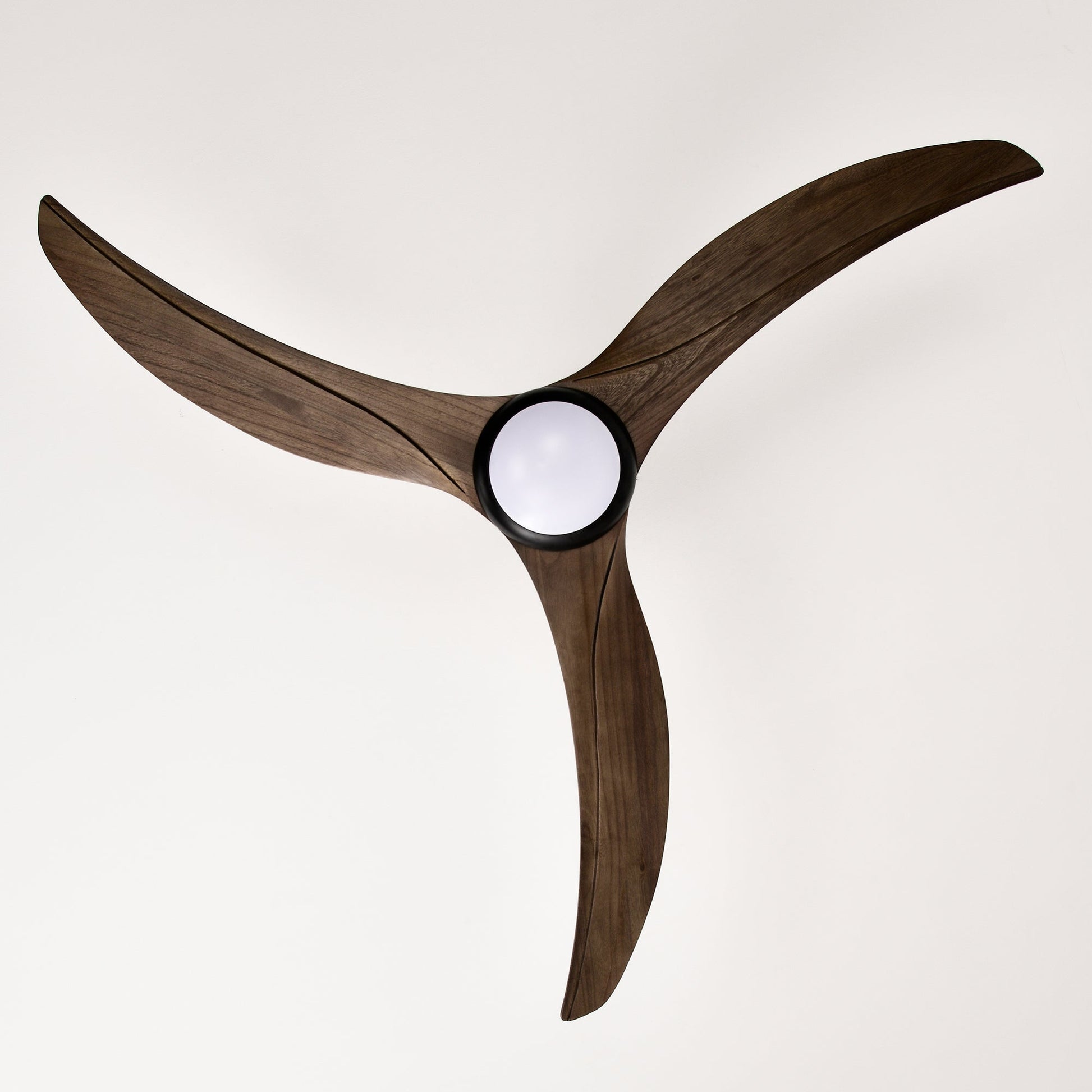 52-inch solid wood ceiling fan with walnut blades and dual globe light kit remote control on Tampa Home & Garden Store