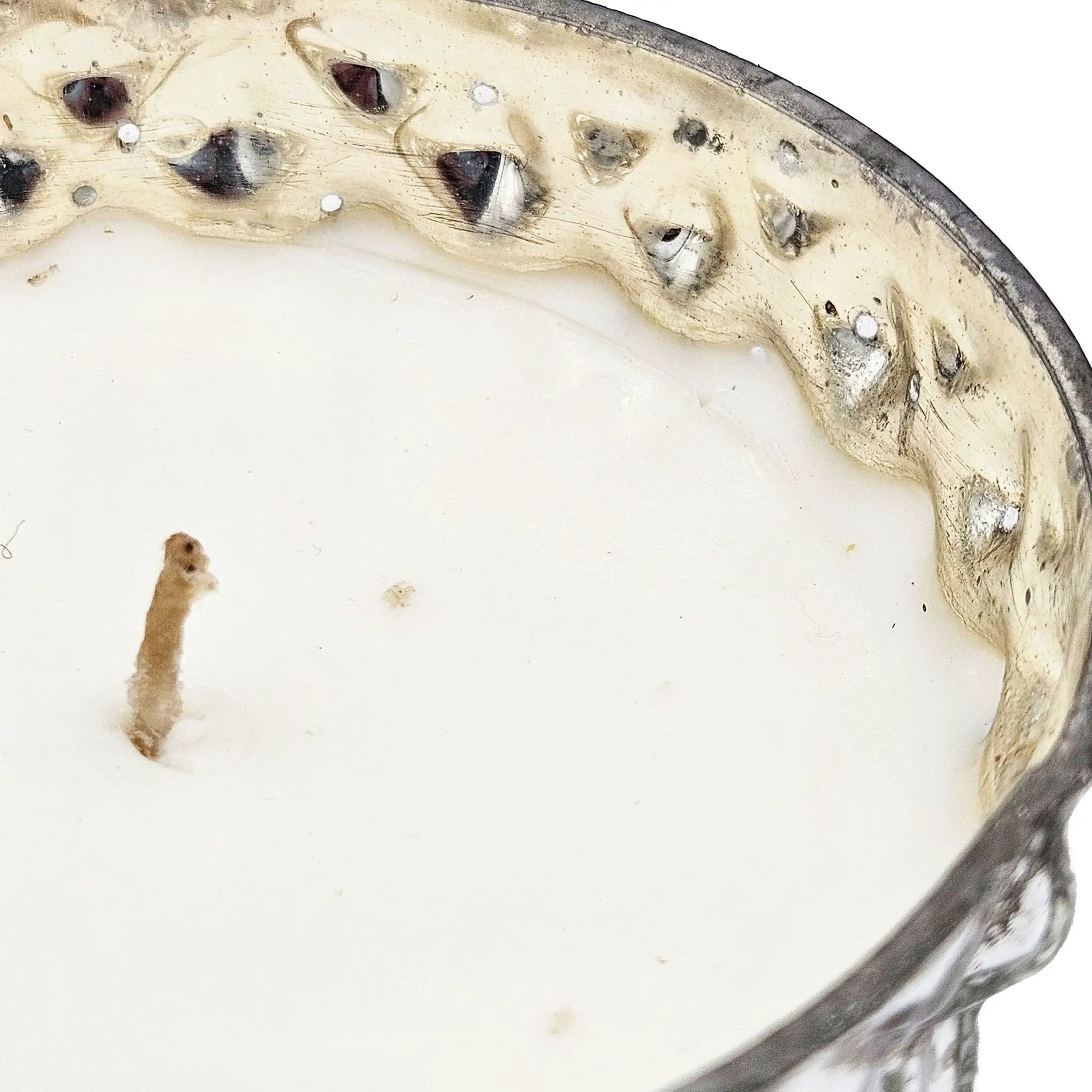 Beige ceramic plate with a textured silver rim and rustic glaze marks on Tampa Home & Garden Store