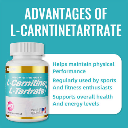 Perfecsy L-Carnitine L-Tartrate capsules with teal label, 60 capsules dietary supplement on Tampa Home & Garden Store