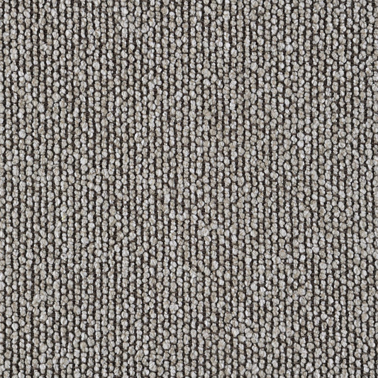 Gray textured loop-pile carpet close-up in neutral tones on Tampa Home & Garden Store