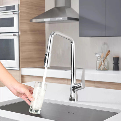 HouseOfZazla professional kitchen faucet with 3-function 360 sprayer and touch switch on Tampa Home & Garden Store