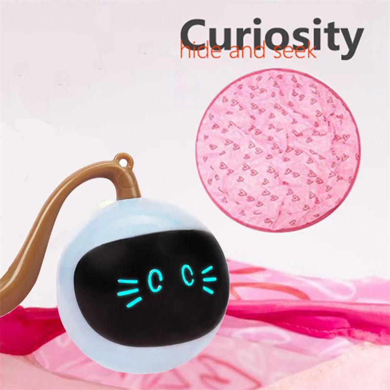 Automatic cat toy ball with LED face, motion-activated indoor play, blue orb with brown strap on Tampa Home & Garden Store