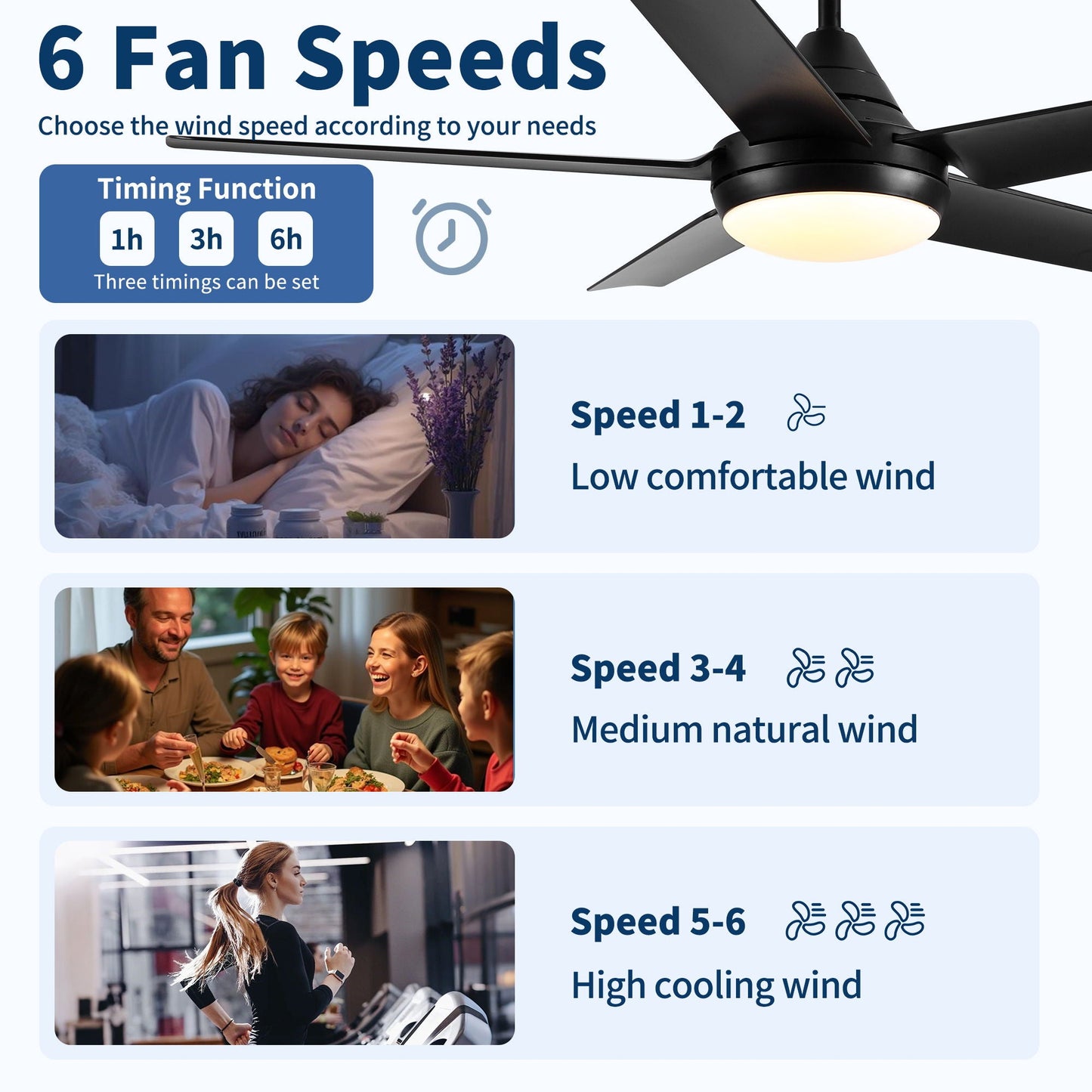 Ceiling fan with lights in black finish, remote, 6 speeds, reversible DC motor on Tampa Home & Garden Store