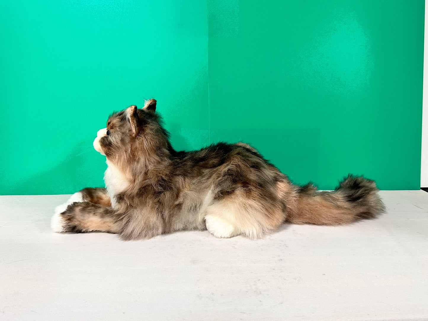 Plush Norwegian Forest Cat-Handmade Life-Size Companion & Pet Memorial