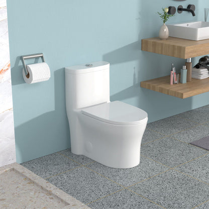 Dual Flush 1-Piece Toilet with Soft-Closing Seat in white on Tampa Home & Garden Store