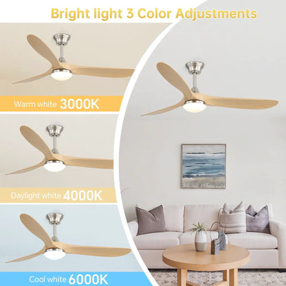 Smart Ceiling Fan With Lights, DC Motor Indoor