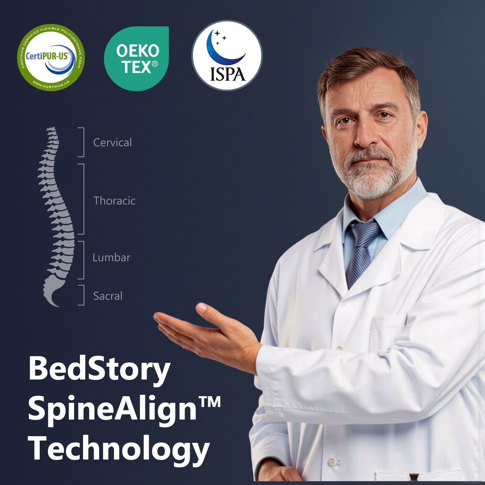 BedStory SpineAlign mattress tech banner with doctor figure and CertiPUR-US, OEKO-TEX, ISPA logos on Tampa Home & Garden Store