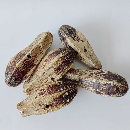 Parrot chew blocks natural wood with brown bark 5 pcs Sell My Stuff Bird Toys on Tampa Home & Garden Store