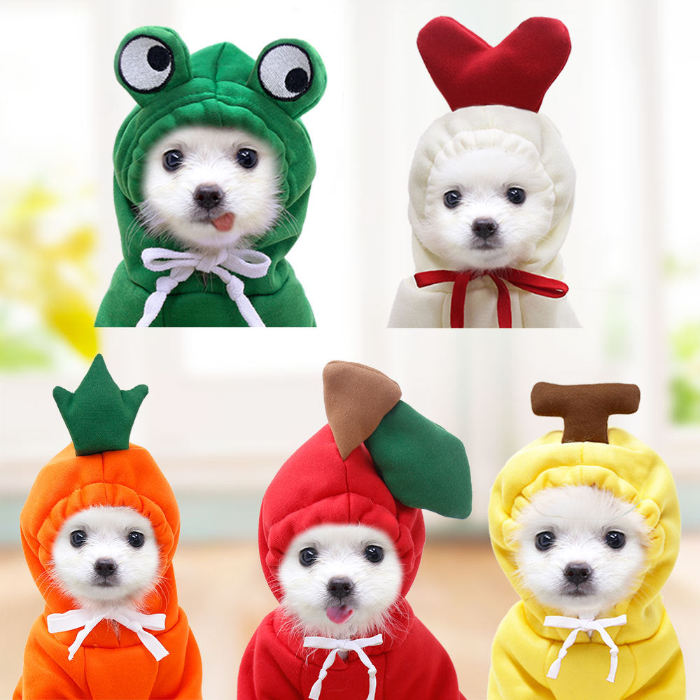 Fruit fleece dog hoodies for small dogs: frog, strawberry, carrot, pineapple, bunny outfits on Tampa Home & Garden Store