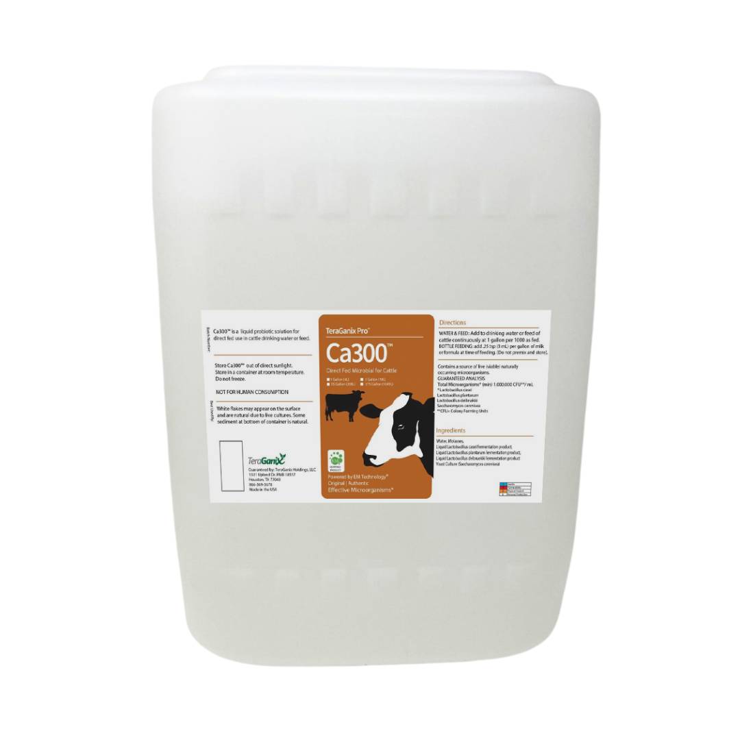 Ca300™ Cattle Probiotic | Direct Fed Microbial Health